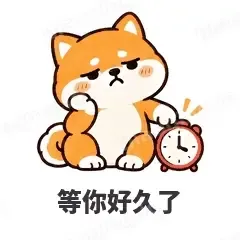 小柴犬 封面