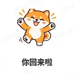 你回来啦 - 小柴犬表情