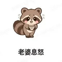 求生欲小浣熊 封面