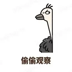 偷偷观察 - 心虚鸵鸟表情