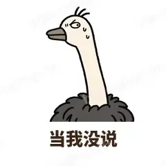 心虚鸵鸟 封面