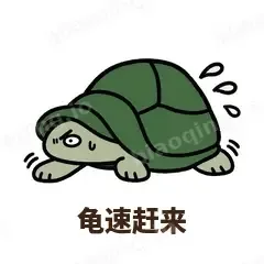 龟速赶来 - 缩头小乌龟表情