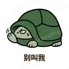 缩头小乌龟 封面