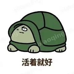 活着就好 - 缩头小乌龟表情